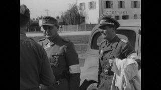 Link to Video | personality