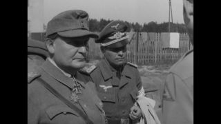 Link to Video | personality