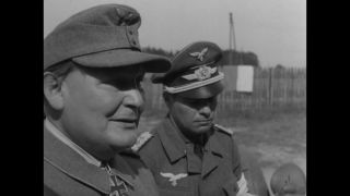 Link to Video | personality