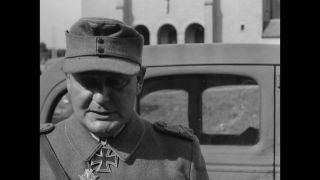 Link to Video | personality