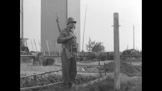 Link to Video | personality