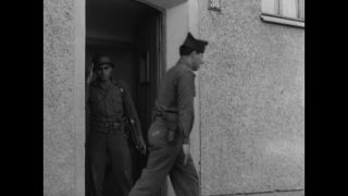 Link to Video | personality