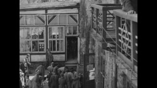 Link to Video | personality