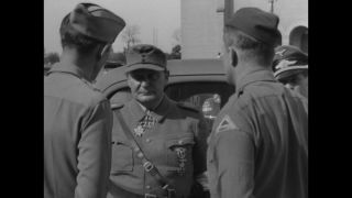 Link to Video | personality