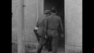 Link to Video | personality