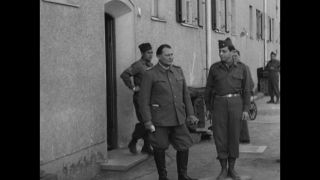 Link to Video | personality