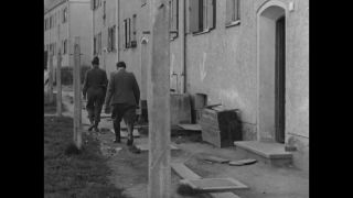 Link to Video | personality