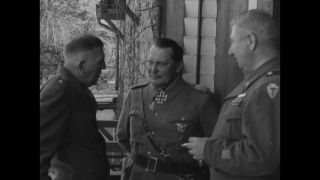 Link to Video | personality