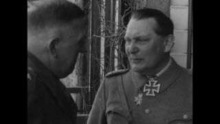 Link to Video | personality