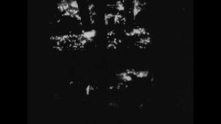 Link to Video | antisemitism, Third Reich