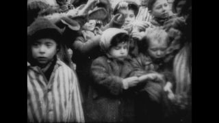 Link to Video | antisemitism, Third Reich, Auschwitz