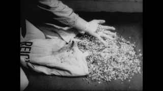 Link to Video | antisemitism, Third Reich