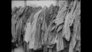 Link to Video | antisemitism, Third Reich, Auschwitz