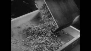 Link to Video | antisemitism, Third Reich, Auschwitz