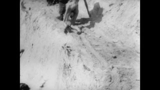 Link zum Video | Persönlichkeit, KZ Auschwitz