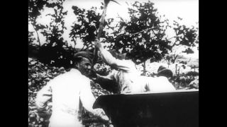 Link to Video | antisemitism, Third Reich