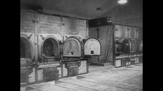 Link to Video | antisemitism, Third Reich, Auschwitz