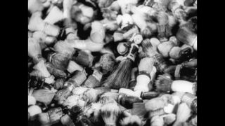 Link to Video | antisemitism, Third Reich, Auschwitz