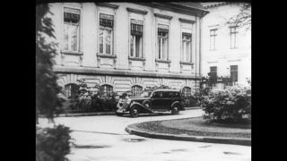 Link to Video | personality