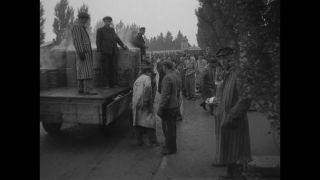 Link to Video | antisemitism, Third Reich