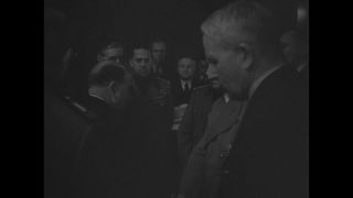 Link to Video | personality