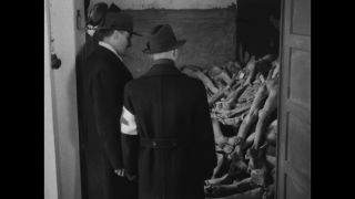 Link to Video | antisemitism, Third Reich