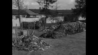 Link to Video | Liberation of Nazi camps, Dachau concentration camp, concentration camp, Germany, antisemitism, liberation, April 29, The Holocaust, Allies of the Second World War, misery, 1945, G.I., suffering, Dachau, black and white