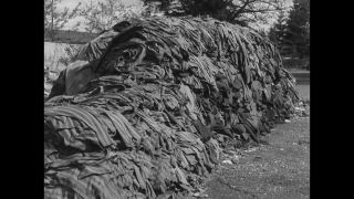 Link to Video | Liberation of Nazi camps, Dachau concentration camp, concentration camp, Germany, antisemitism, liberation, April 29, The Holocaust, Allies of the Second World War, misery, 1945, G.I., suffering, Dachau, black and white