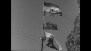 Link to Video | Liberation of Nazi camps, Dachau concentration camp, concentration camp, Germany, antisemitism, liberation, April 29, The Holocaust, Allies of the Second World War, misery, 1945, G.I., suffering, Dachau, black and white