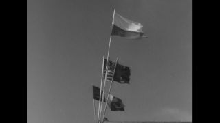 Link to Video | Liberation of Nazi camps, Dachau concentration camp, concentration camp, Germany, antisemitism, liberation, April 29, The Holocaust, Allies of the Second World War, misery, 1945, G.I., suffering, Dachau, black and white