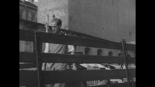 Link to Video | post-war, History of Germany (1945–1990), Germany, 1946, food, food distribution, Berlin, black and white, food product