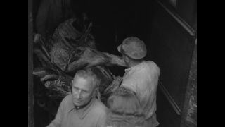 Link to Video | post-war, History of Germany (1945–1990), Germany, 1946, food, food distribution, Berlin, black and white, food product