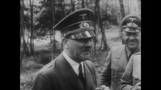 Link to Video | personality