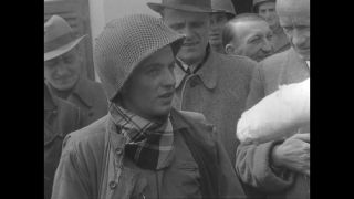 Link to Video | personality