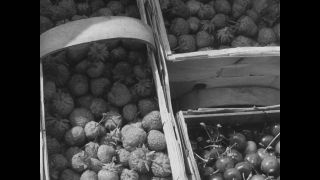 Link to Video | post-war, History of Germany (1945–1990), Germany, 1946, food, food distribution, Berlin, black and white, food product