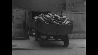 Link to Video | post-war, History of Germany (1945–1990), Germany, 1946, food, food distribution, Berlin, black and white, food product