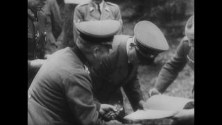 Link to Video | personality