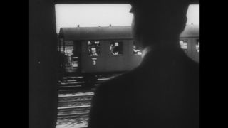 Link to Video | personality