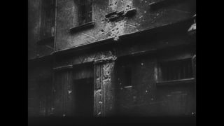 Link to Video | personality