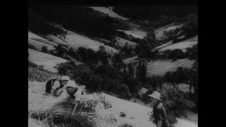 Link to Video | propaganda film, Third Reich, propaganda