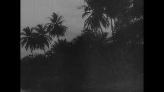 Link to Video | propaganda film, Third Reich, propaganda