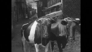 Link to Video | antisemitism, Third Reich