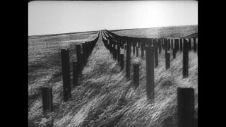 Link to Video | World War II