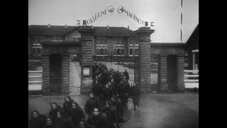 Link to Video | World War II
