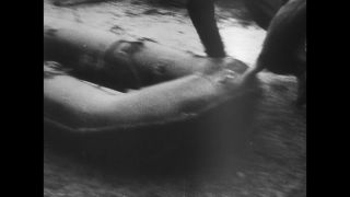 Link to Video | World War II
