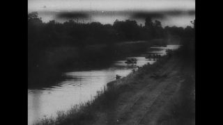 Link to Video | black and white