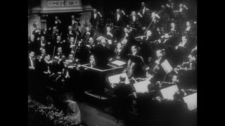 Link to Video | personality