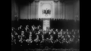 Link to Video | personality