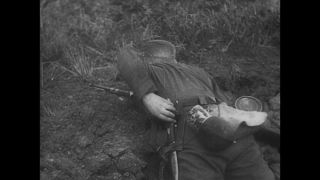 Link to Video | black and white