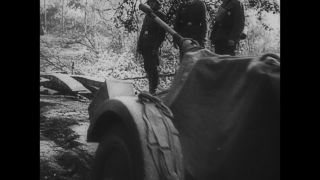 Link to Video | black and white